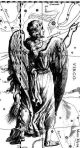 Virgo Hevelius